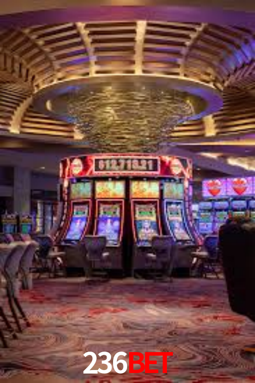 Descubra a Essência do 236bet: Nossa História e Compromissos